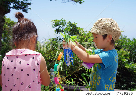 Bamboo decorations and children in Tanabata Bamboo decorations and children in Tanabata 7729256