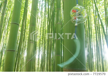 Bamboo forest and wind chimes Bamboo forest and wind chimes 7729570