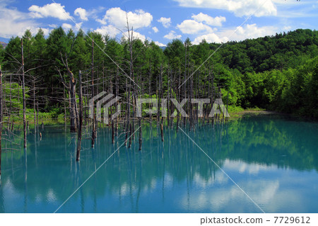 Blue pond 7729612
