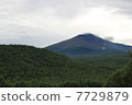 Hikimisan 7729879
