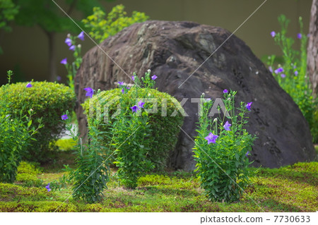 源氏花園 源氏花園 7730633