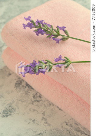 毛巾和薰衣草花 7732009