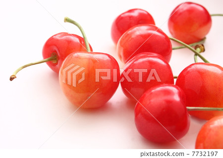 櫻桃 7732197
