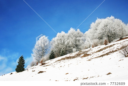 Winter landscape Winter landscape 7732689
