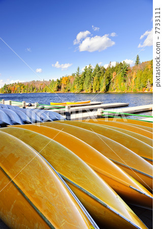 Canoe rental on autumn lake 7733111