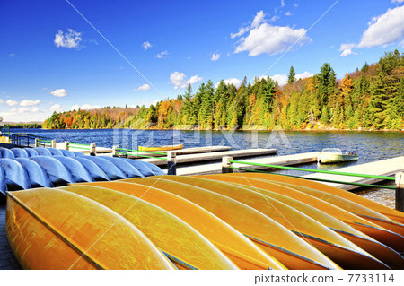 Canoe rental on autumn lake 7733114