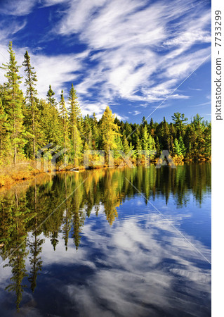 Forest and sky reflecting in lake 7733299