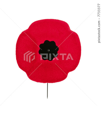 Remembrance Day poppy 7733377