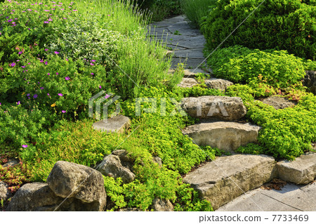 Garden path with stone landscaping Garden path with stone landscaping 7733469