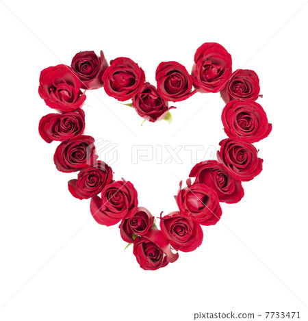 Rose heart 7733471