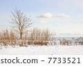Winter shore of lake Ontario 7733521