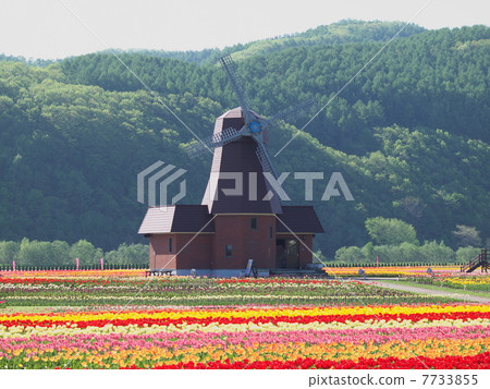 Kamiyuunetsu鬱金香公園 Kamiyuunetsu鬱金香公園 7733855