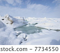 漂流冰 漂流冰 7734550