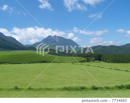 雨季的尤德山 7734665