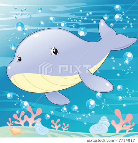 Baby Whale. Baby Whale. 7734917