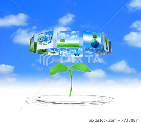 展示了生態環境的板和年輕葉子 7735887