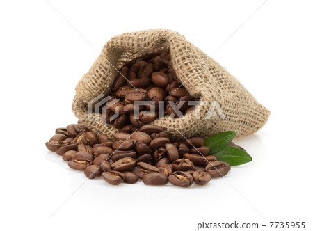 coffee beans on white background coffee beans on white background 7735955