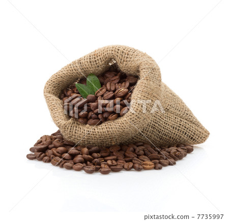 coffee beans on white background coffee beans on white background 7735997