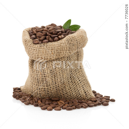 coffee beans on white background coffee beans on white background 7736026