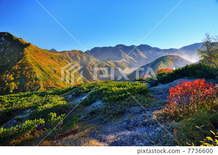 Okinaidake秋葉 Okinaidake秋葉 7736600