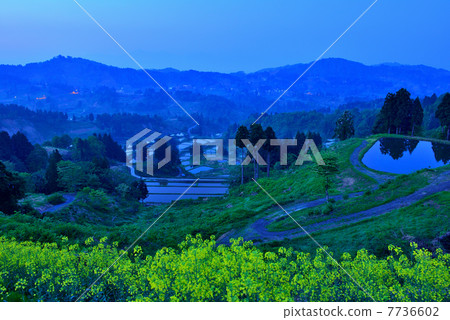 在早春的Yamakoshi的黎明 7736602