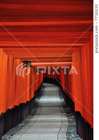 Fushimi-Inari Taisha Shrine, approach to Senbon Torii Fushimi-Inari Taisha Shrine, approach to Senbon Torii 7736838