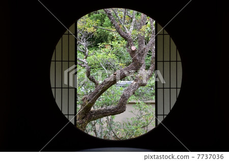 Japanese style rooms and gardens at Yunoya 7737036