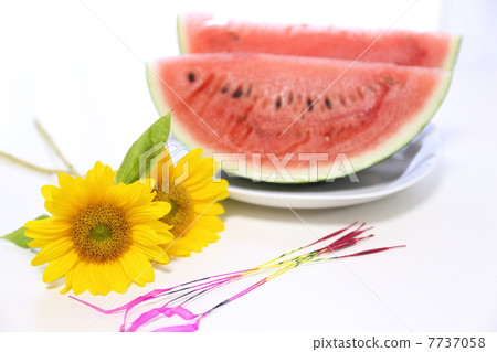 夏天 7737058