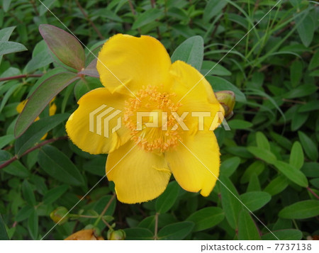 Kinshby圖片(3) Kinshby圖片(3) 7737138