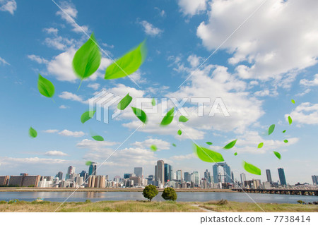 Leaf leaves and buildings in Osaka 7738414