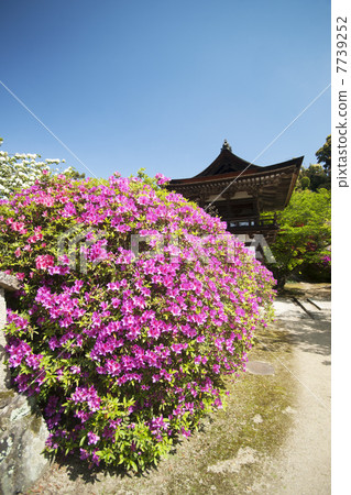 Nara Choshigaji garden Nara Choshigaji garden 7739252