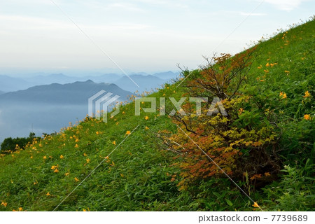 Kiritokogen的Nikko Kishge 7739689