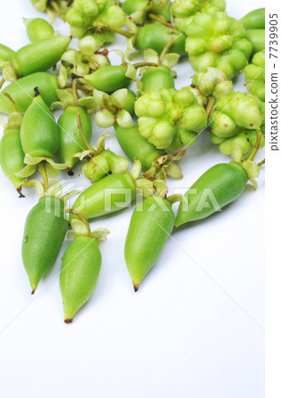Mata Tabi Two kinds of fruits 7739905