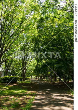 靠近自由廣場的隧道金宇植物園 靠近自由廣場的隧道金宇植物園 7739941