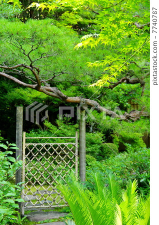 竹針門(屏障) 竹針門(屏障) 7740787