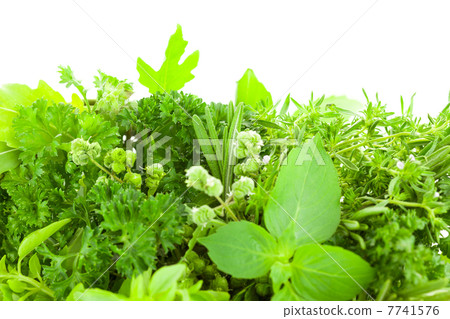 Border of Different  Fresh Spice Herbs  isolated 7741576