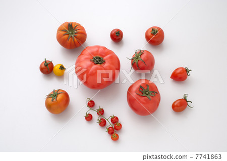 Tomato   7741863