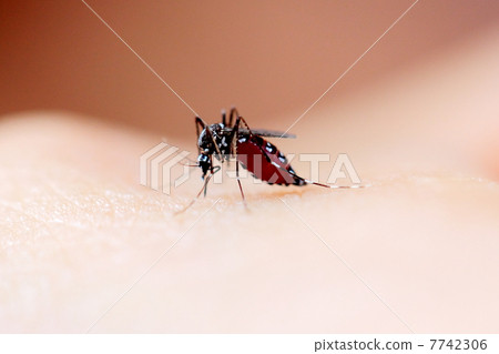 Blood sucking Blood sucking 7742306
