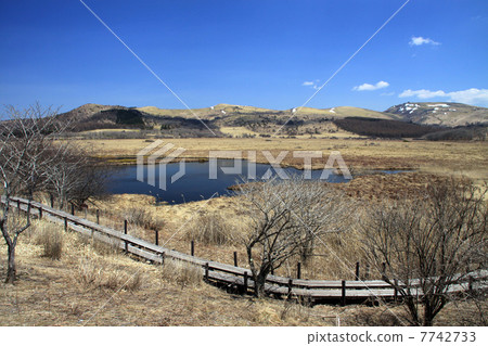 Hachijigahara Marsh Hachijigahara Marsh 7742733