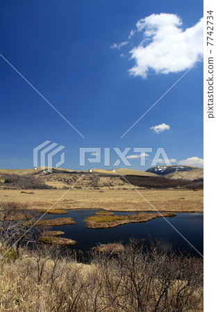 Hachijigahara Marsh Hachijigahara Marsh 7742734