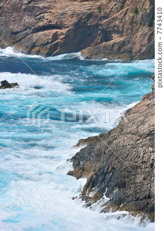 Cormorant Misaki Observatory的風景 7743410