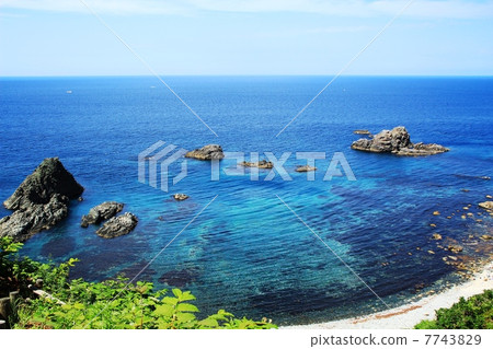 Shakotan Blue 7743829