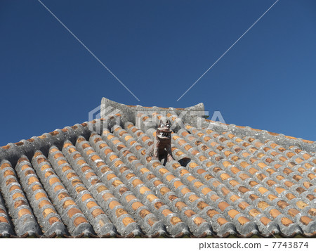 在沖繩屋頂上的Shisa,竹富島美麗的海洋教堂 在沖繩屋頂上的Shisa,竹富島美麗的海洋教堂 7743874