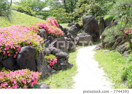 一個花園 7744393