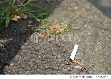 說謊是違反方式的 說謊是違反方式的 7745045
