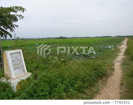 Tombs of Hoyian Valley Yajirobe 7745351