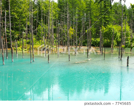 Blue pond Blue pond 7745685