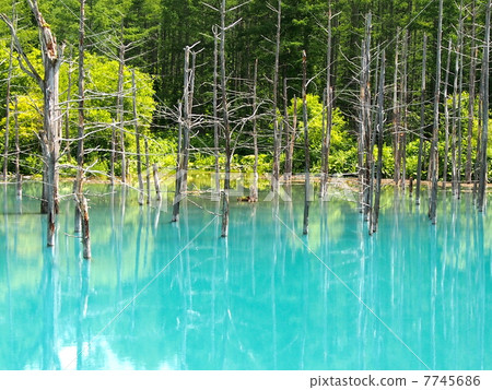 Blue pond Blue pond 7745686