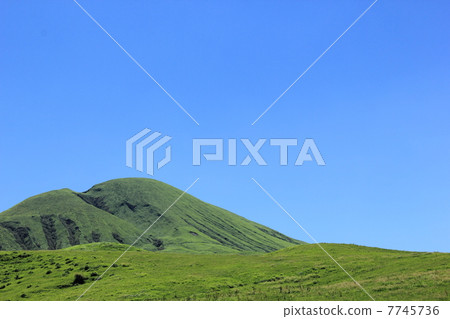 雨季的麻生太郎 7745736