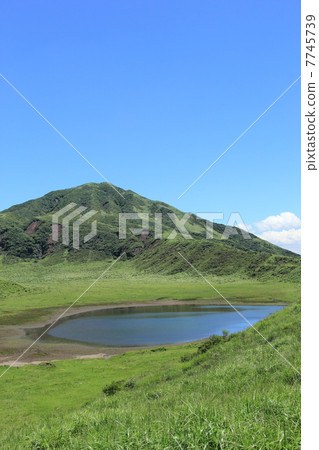 雨季的麻生太郎 7745739